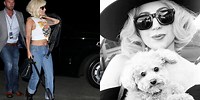 5 arrested in connection with shooting of Lady Gaga’s dog walker